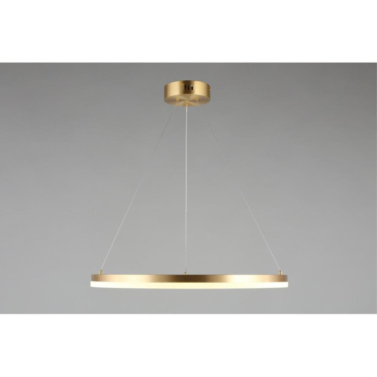 Подвесной светильник Aployt Armel APL.049.13.40 в #REGION_NAME_DECLINE_PP#