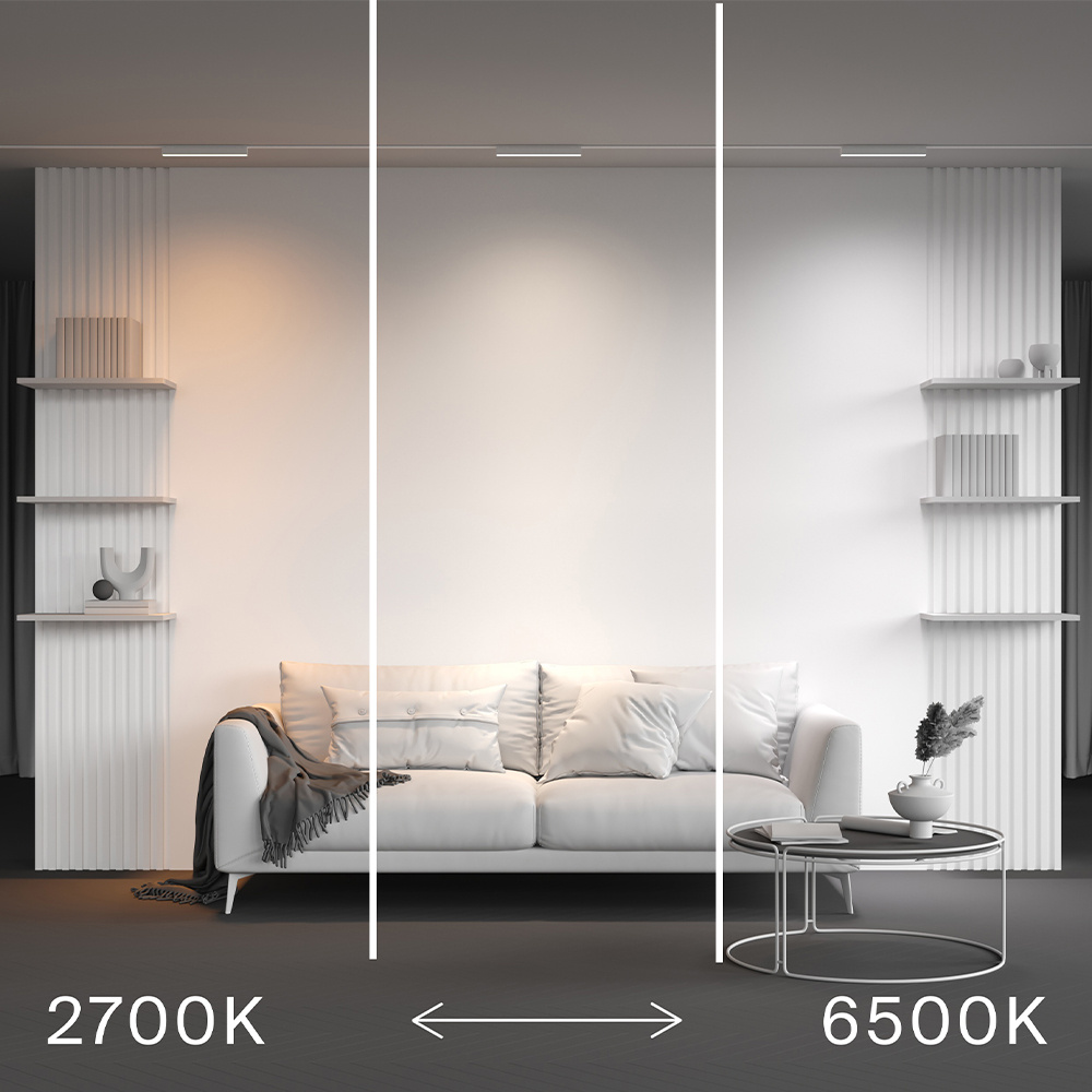 Трековый магнитный светильник Maytoni Technical Basis Radity TR080-4-10WTW-W в Санкт-Петербурге