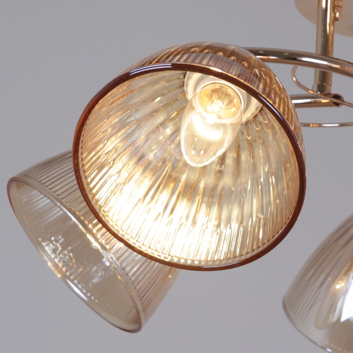 Потолочная люстра Reluce 02560-0.3-05 FG в Санкт-Петербурге