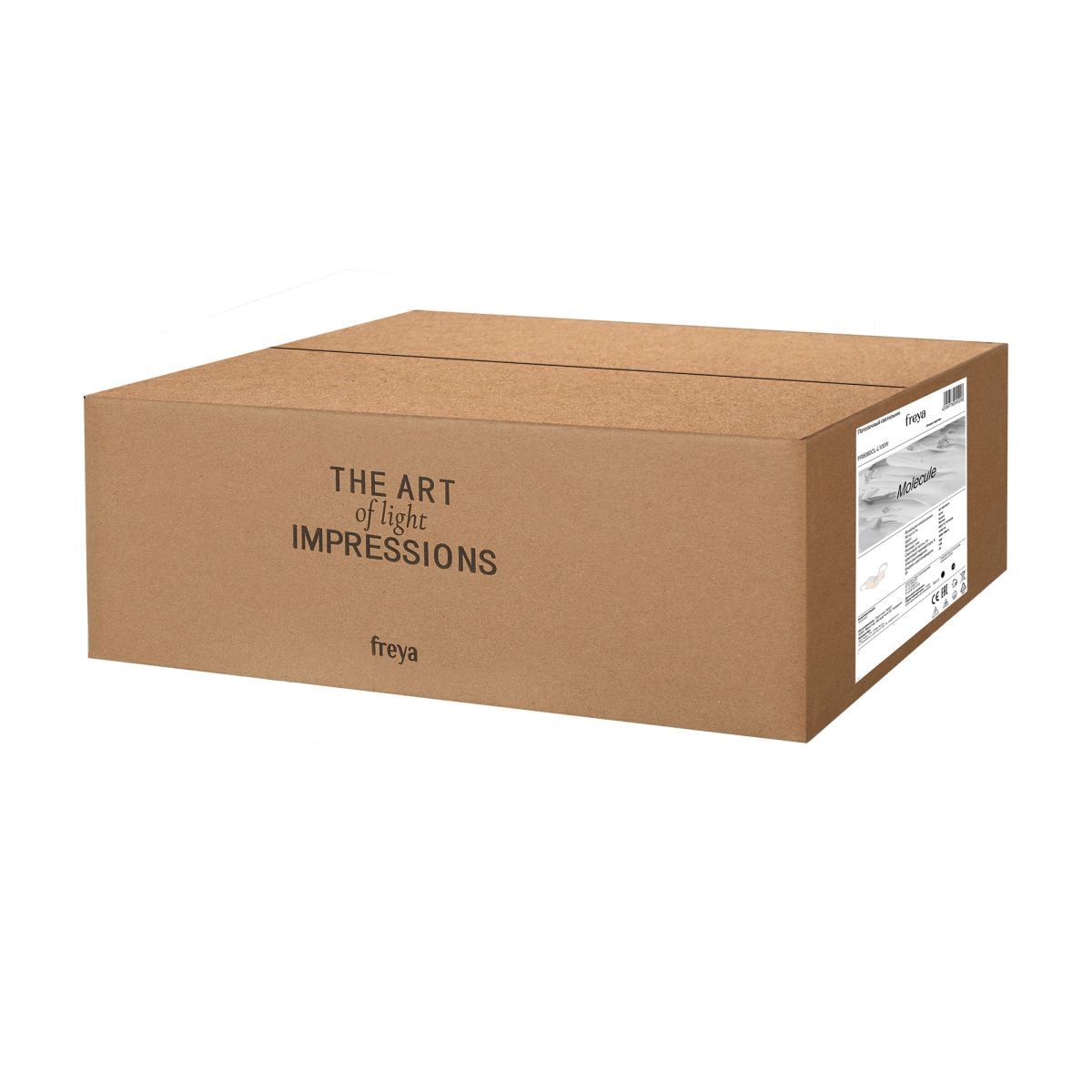 Потолочный светильник Freya Molecule FR6080CL-L100W в #REGION_NAME_DECLINE_PP#