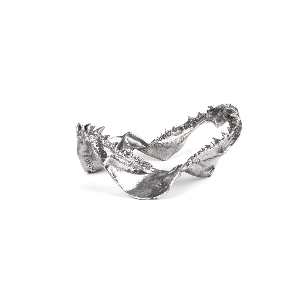 Статуэтка Shark Jaw Seletti Wunderkammer 10896 в Санкт-Петербурге