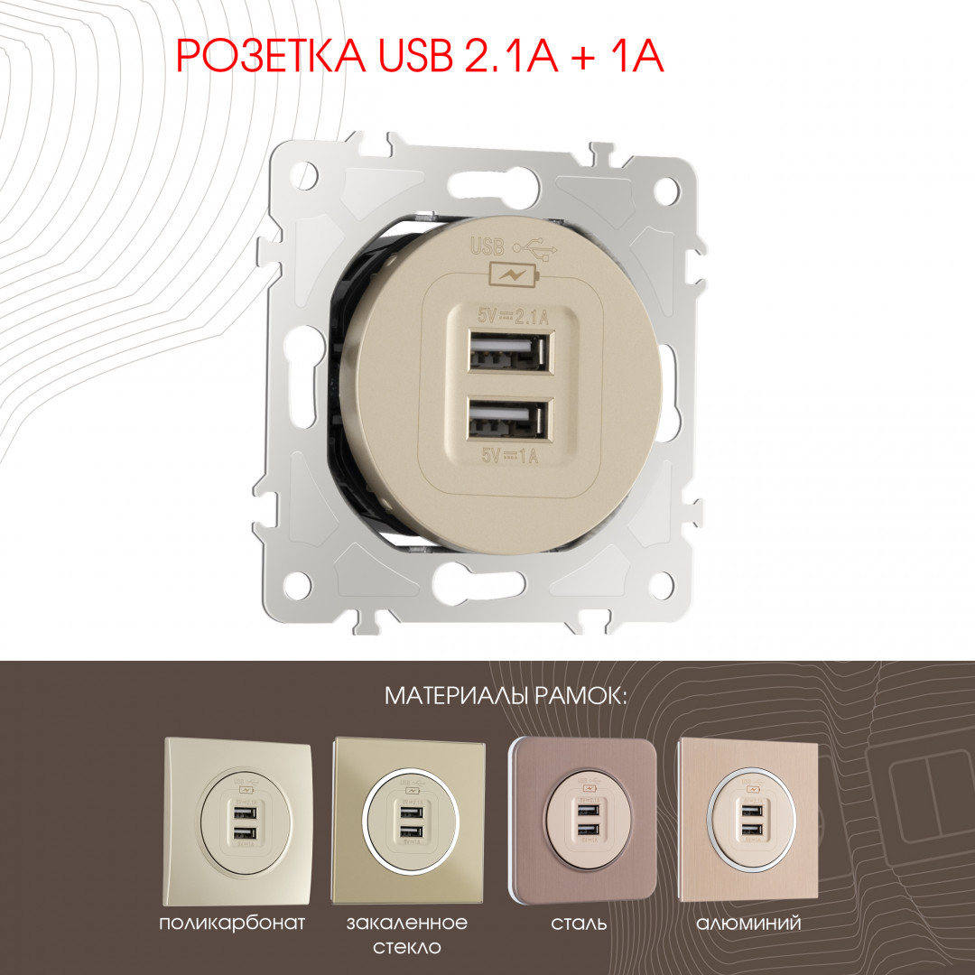 Розетка USB 2.1А+1А Arte Milano 202.46-1.shampan в Санкт-Петербурге