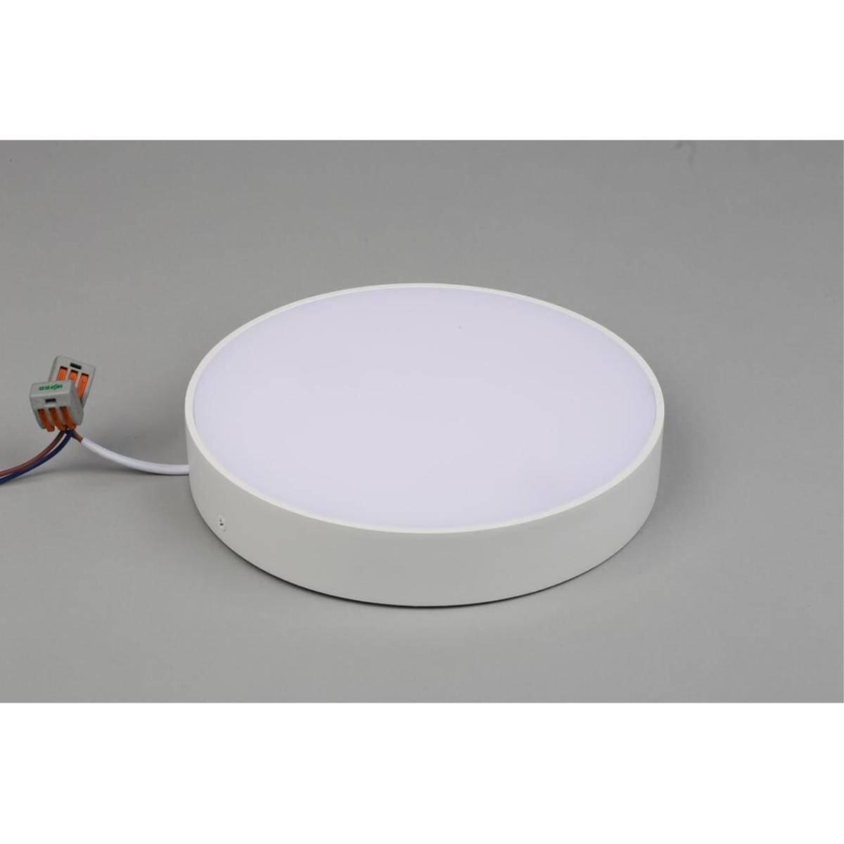 Потолочный светильник Aployt Evon APL.0114.09.24 в Санкт-Петербурге