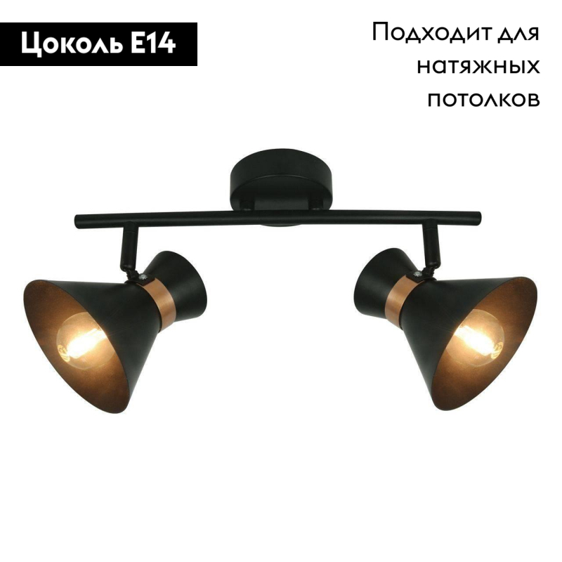 Спот Arte Lamp Baltimore A1406AP-2BK в #REGION_NAME_DECLINE_PP#