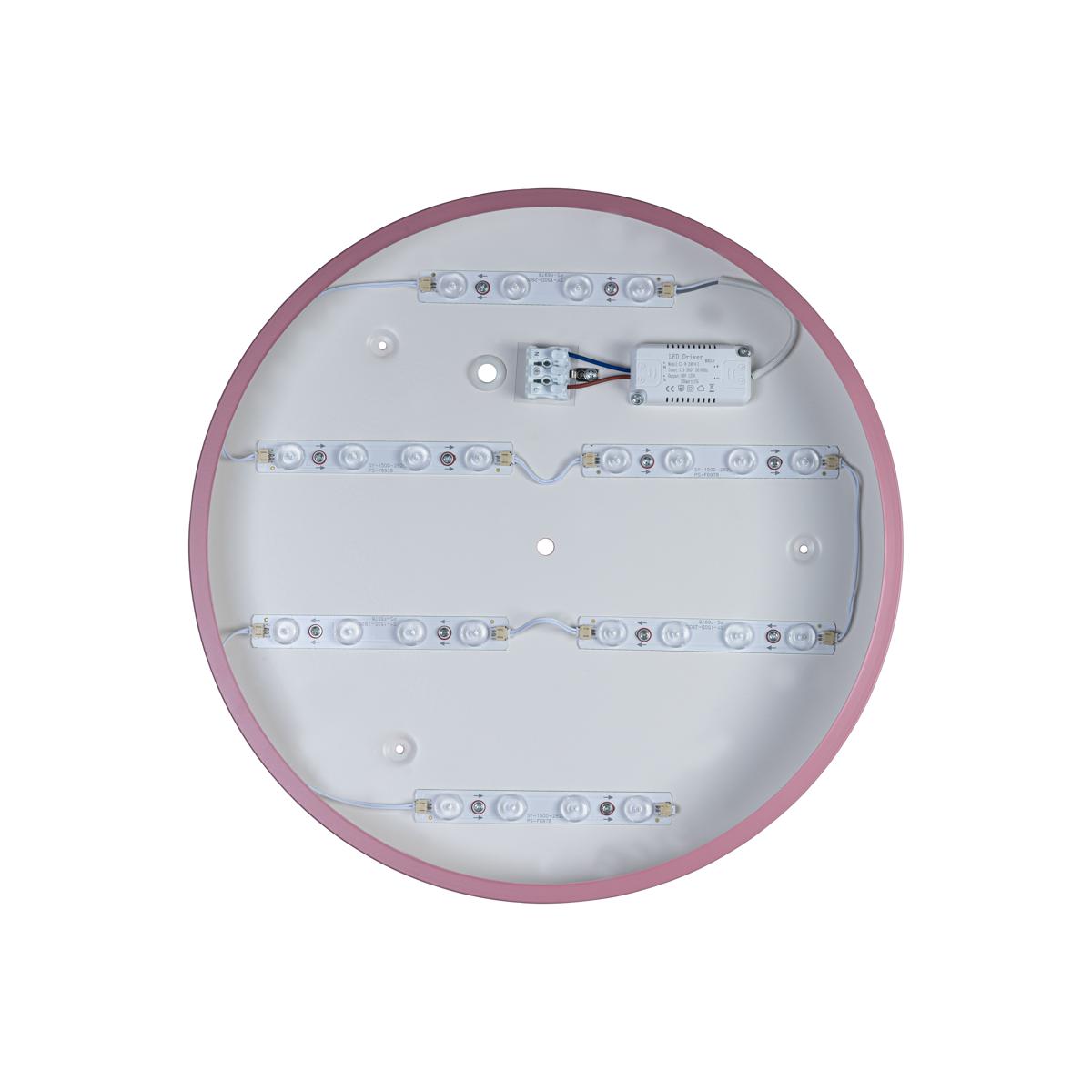 Потолочный светильник Loft IT AXEL 10003/24 Pink УЦ в Санкт-Петербурге