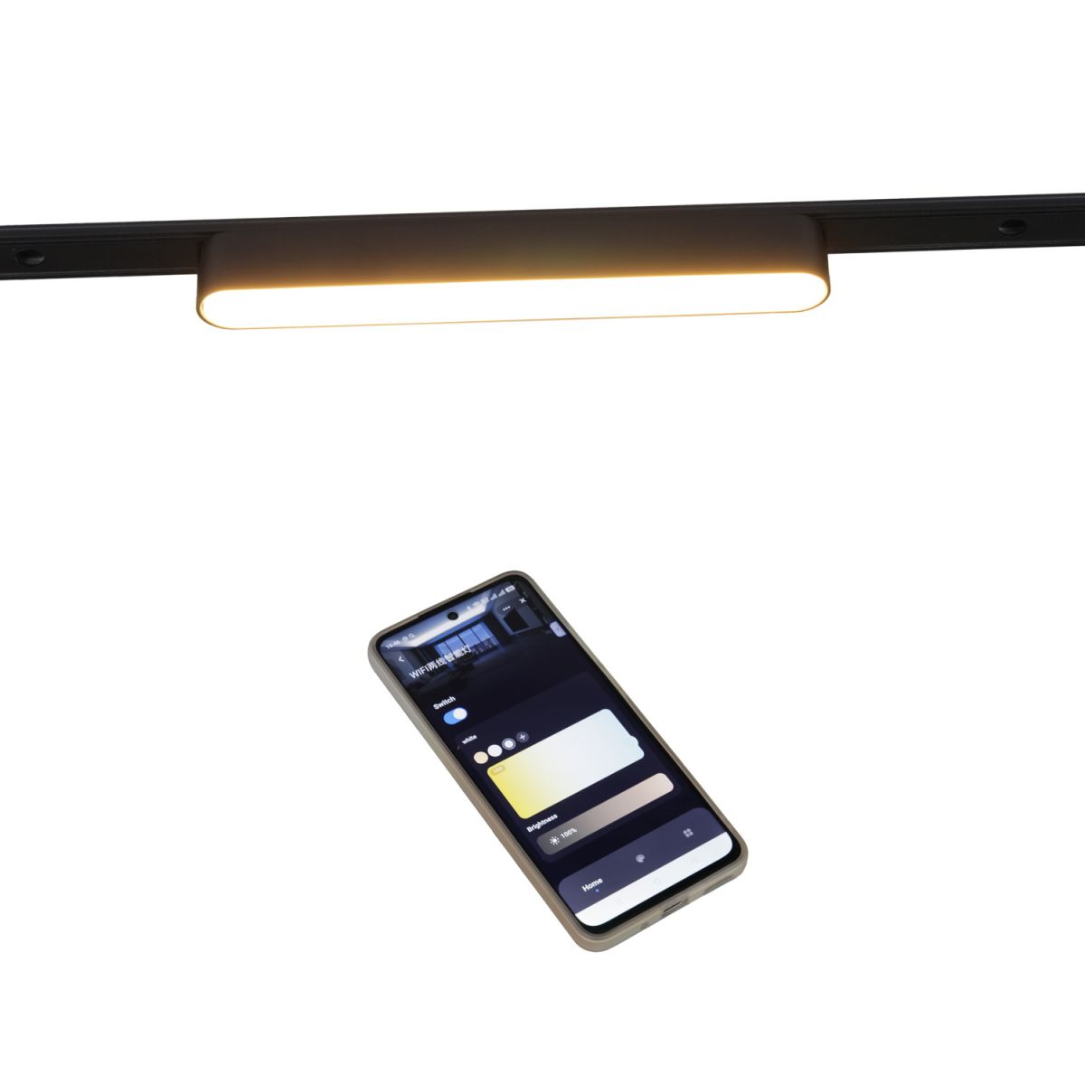 Трековый магнитный светильник (CCT+SMART) Reluce 13001-9.3-001UR magnetic LED12W BK CCT+SMART в Санкт-Петербурге