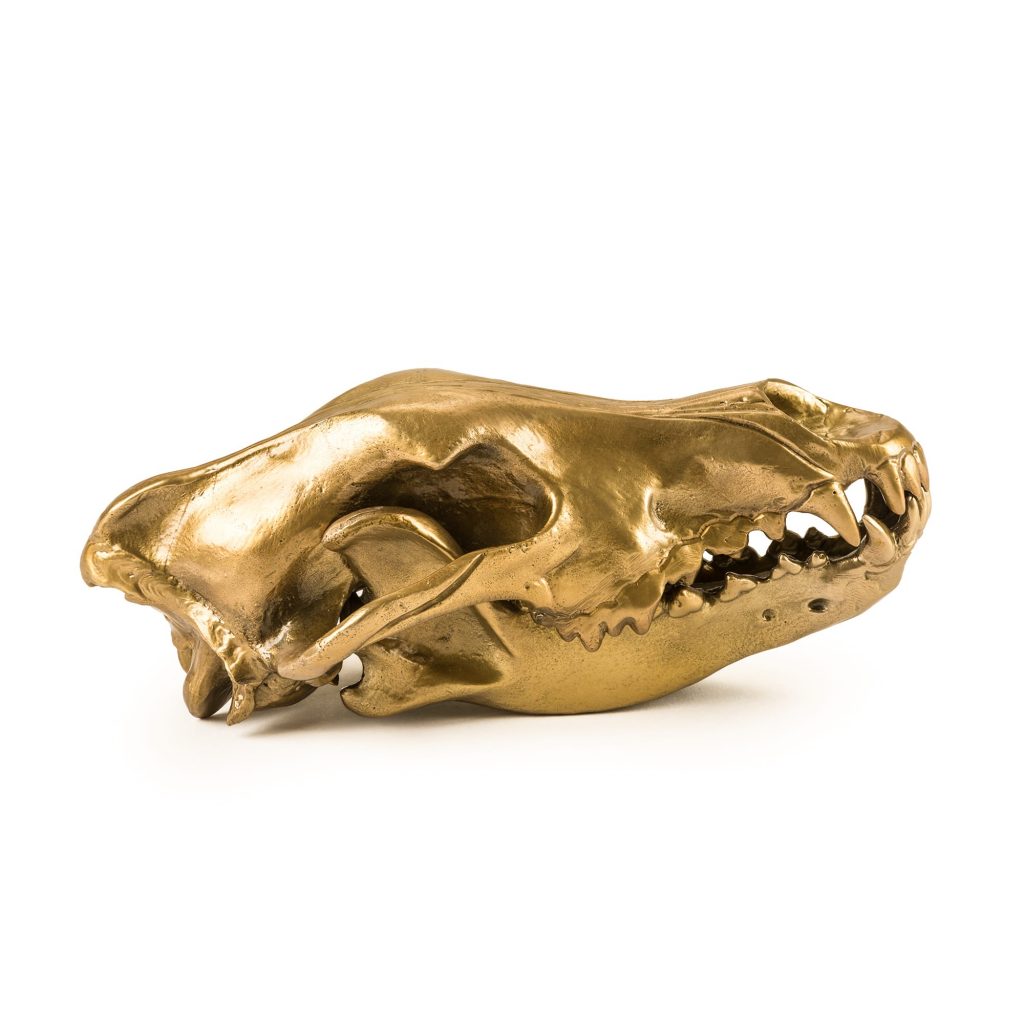 Статуэтка Wolf Skull Seletti Wunderkammer 10892 в Санкт-Петербурге