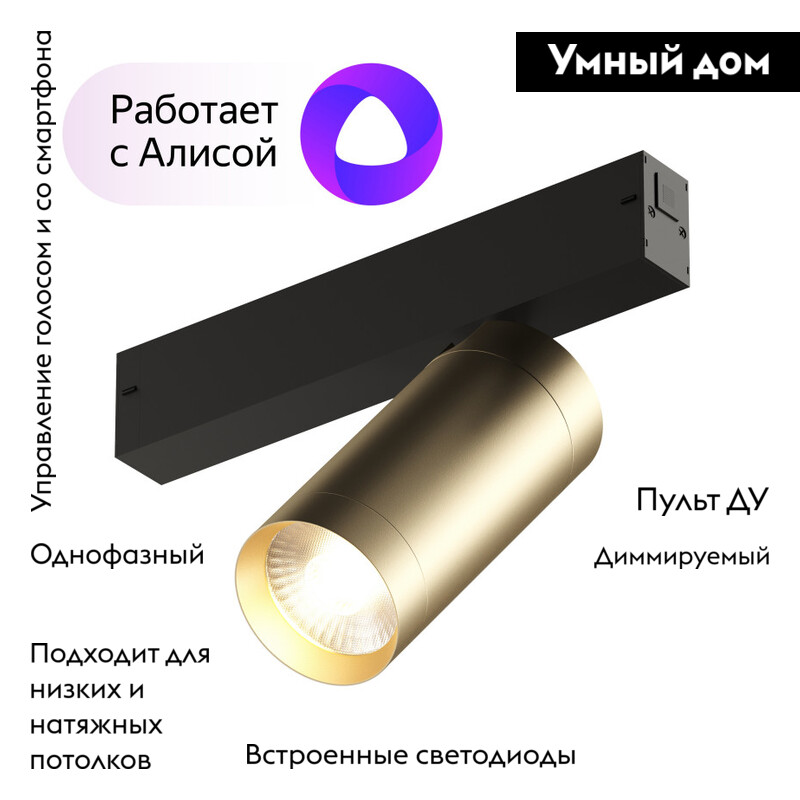 Трековый светильник Denkirs Smart Spot DK8020-BG в Санкт-Петербурге