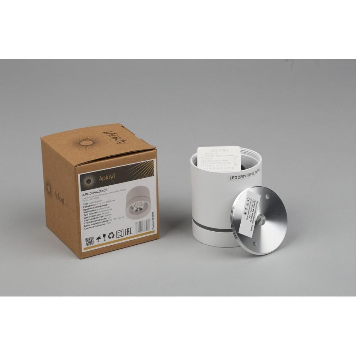 Потолочный светильник Aployt Gita APL.0044.09.05 в Санкт-Петербурге