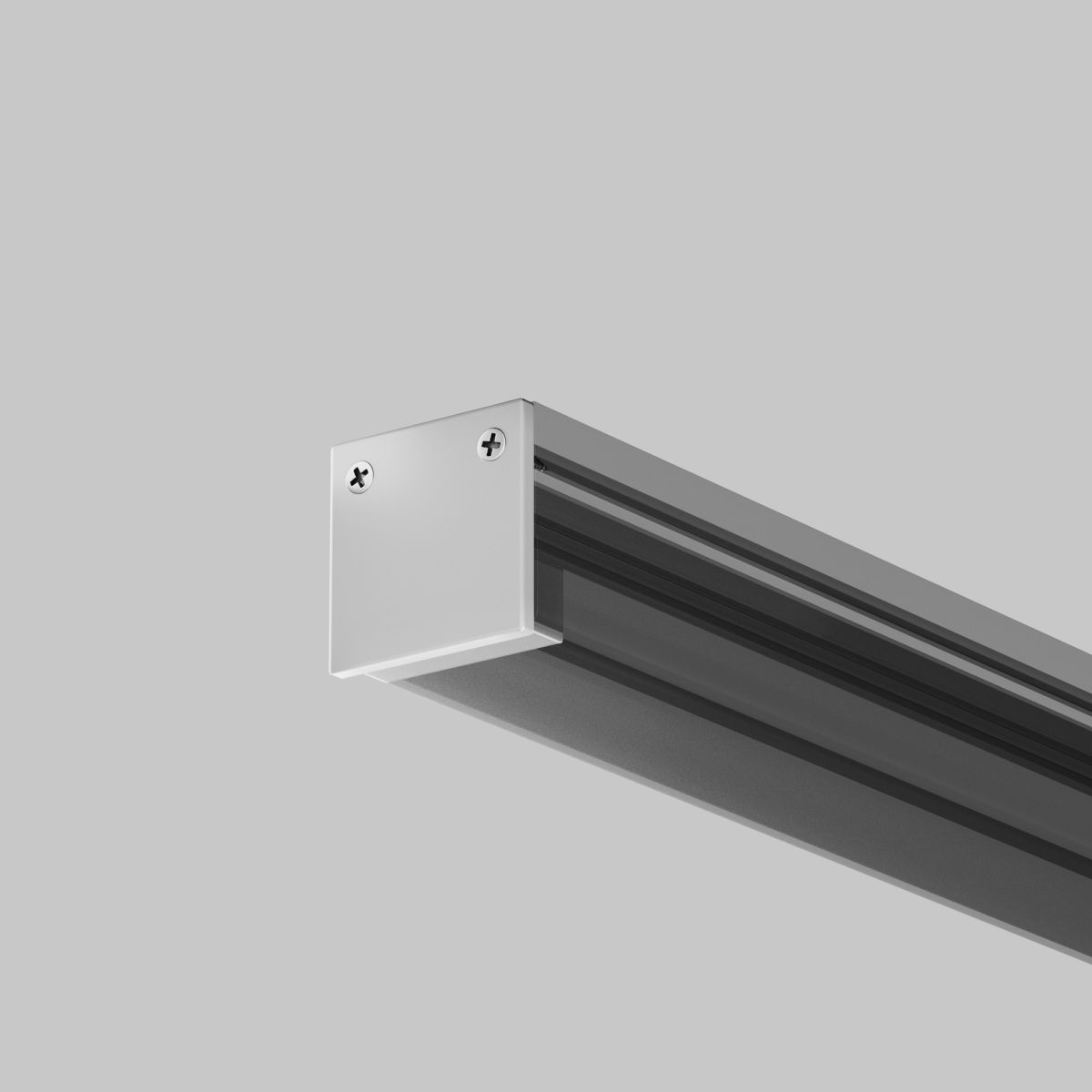Комплект заглушек для профиля 20×20 2шт Maytoni Led Strip ALM-2020B-EC 642077 в Санкт-Петербурге