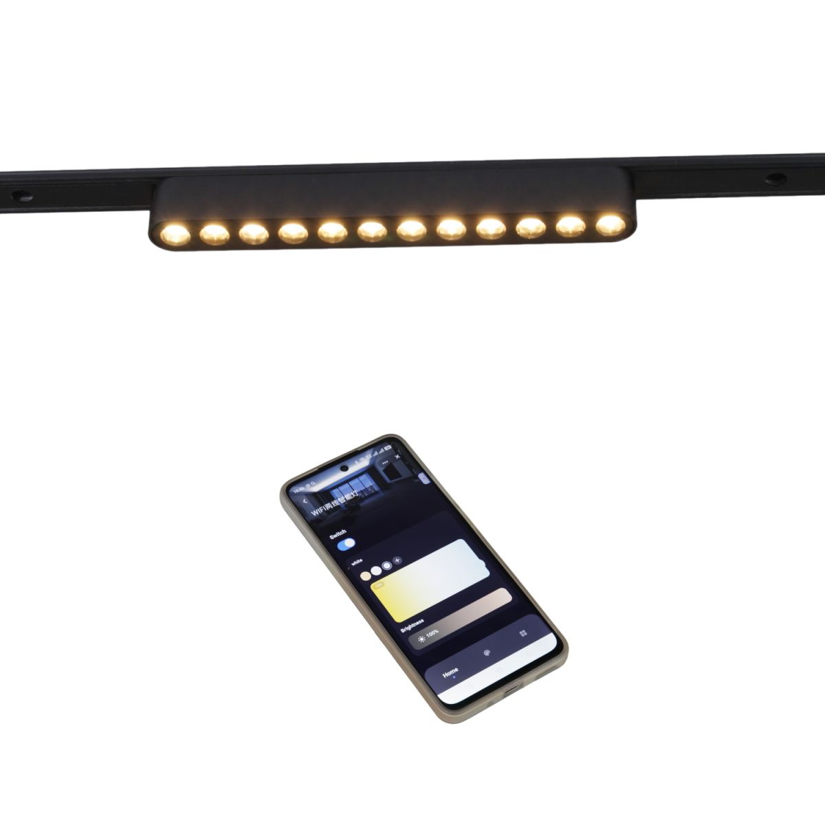 Трековый магнитный светильник (CCT+SMART) Reluce 13002-9.3-001UR magnetic LED12W BK CCT+SMART в Санкт-Петербурге