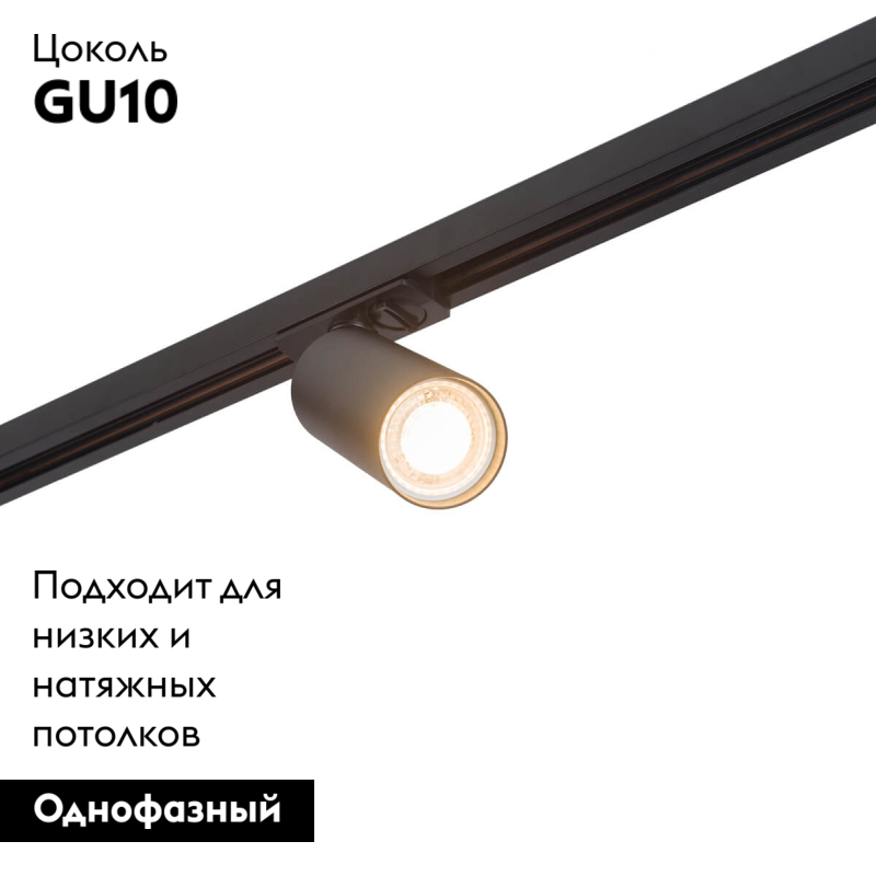 Светильник на шине Denkirs DK6202-BK в Санкт-Петербурге