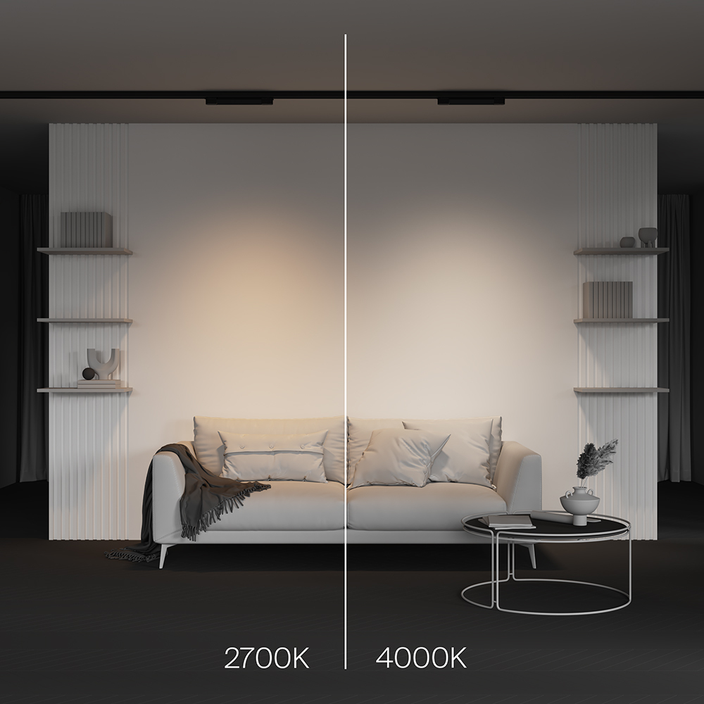 Трековый трехфазный светильник Maytoni Basis TR196-3-10W2.7K-B в Санкт-Петербурге