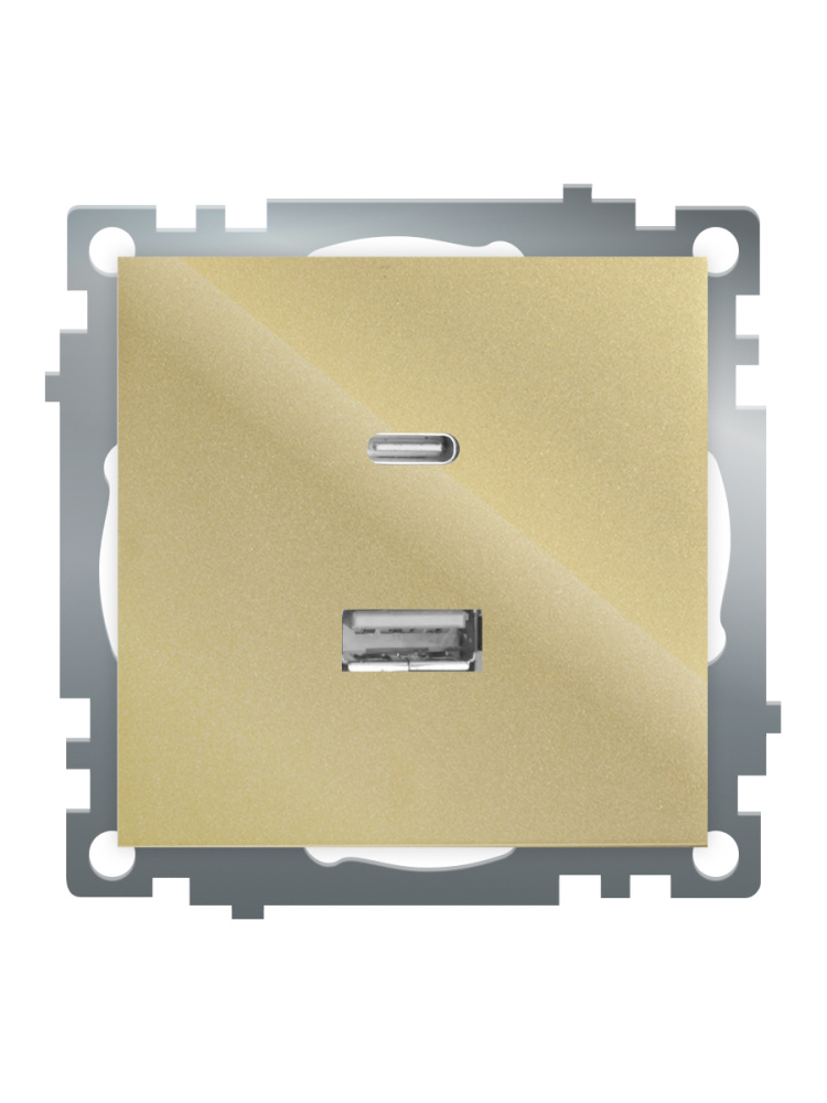 Розетка 2-местная USB + type C Stekker Катрин GLS10-7116-08 50053 в Санкт-Петербурге