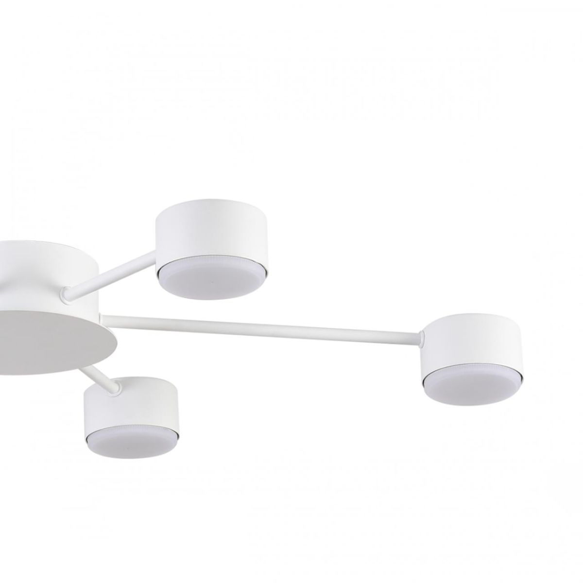 Потолочная люстра Lumion Comfi Torina 8343/6C в Санкт-Петербурге