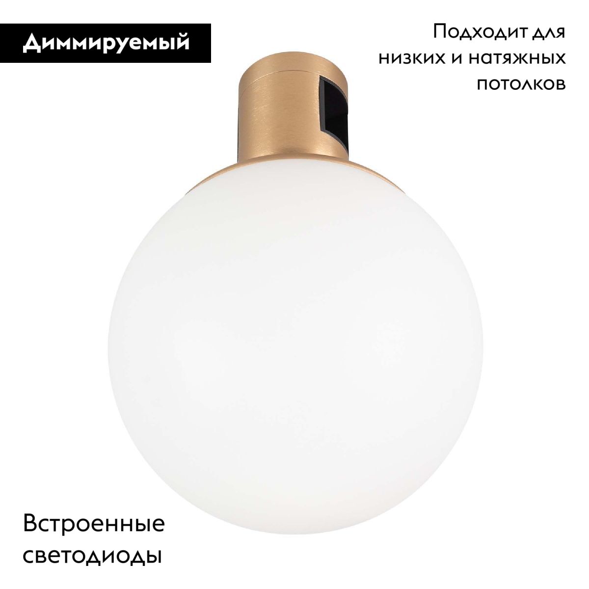 Трековый светильники Arlight ART-APRIORI-SFERO-R120-5W Day4000 044905 в Санкт-Петербурге