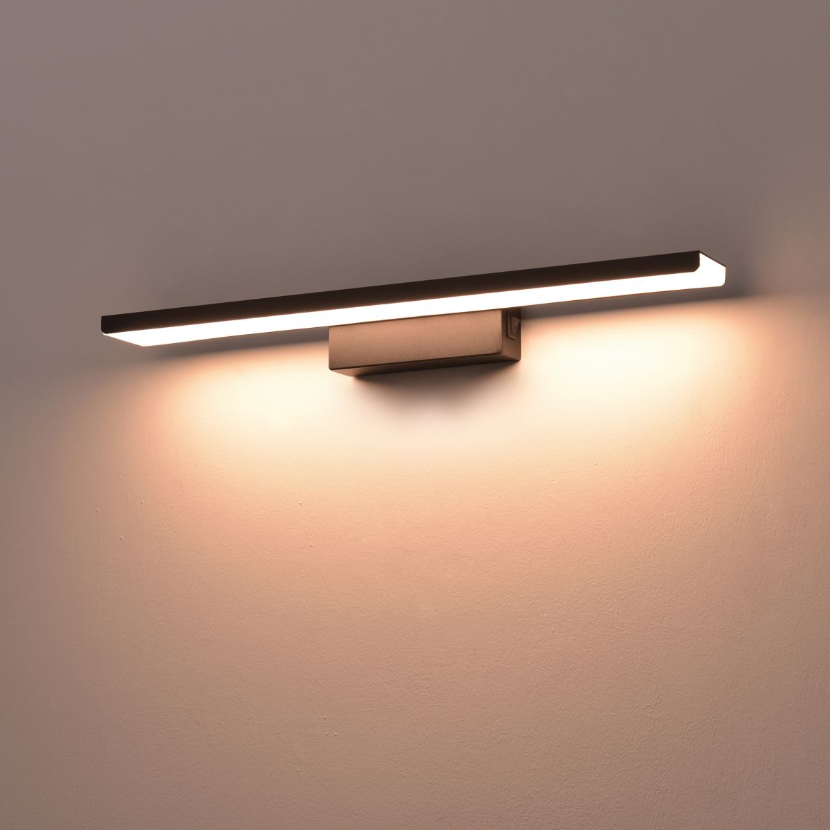 Подсветка для картин Lightstar Noce 201077 в Санкт-Петербурге