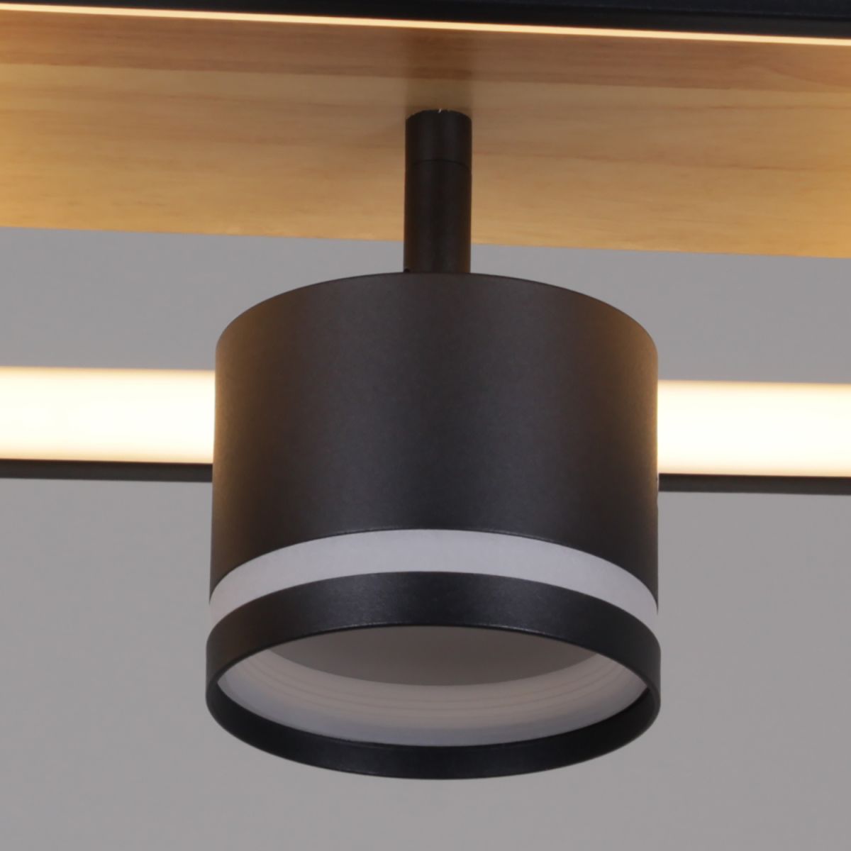 Потолочный светильник Reluce 19560-0.3-2+2 BK+WOOD в Санкт-Петербурге