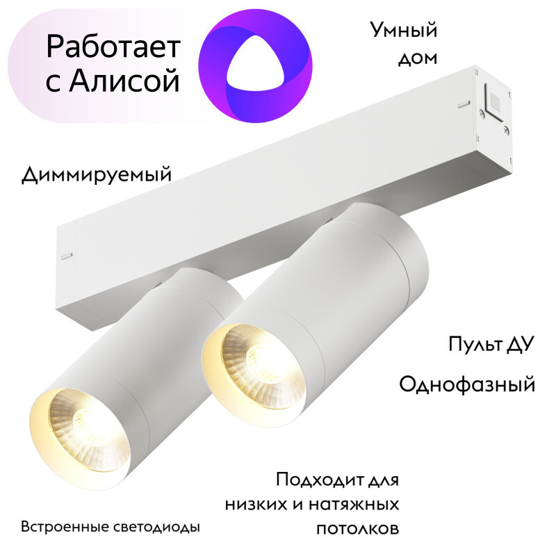 Трековый светильник Denkirs Smart DK8012-WH в Санкт-Петербурге