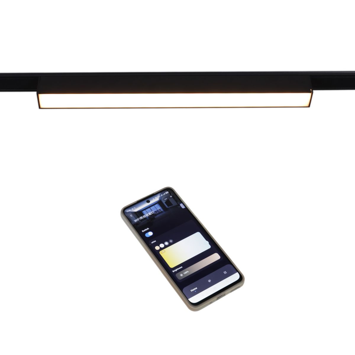 Трековый магнитный светильник Reluce 13003-9.3-001UR magnetic LED10W BK CCT+SMART в Санкт-Петербурге