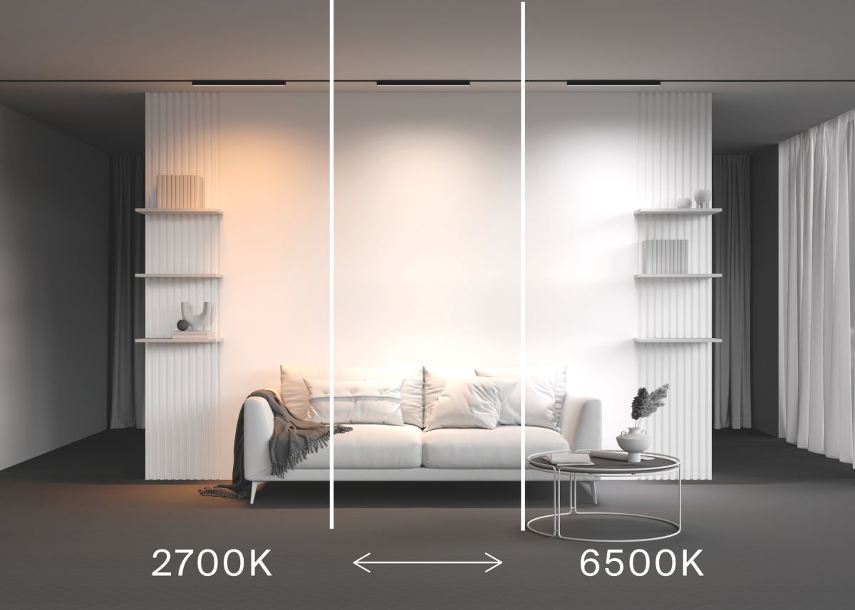 Трековый магнитный светильник Maytoni Technical Basis Radity TR080-4-20WTW-B в Санкт-Петербурге