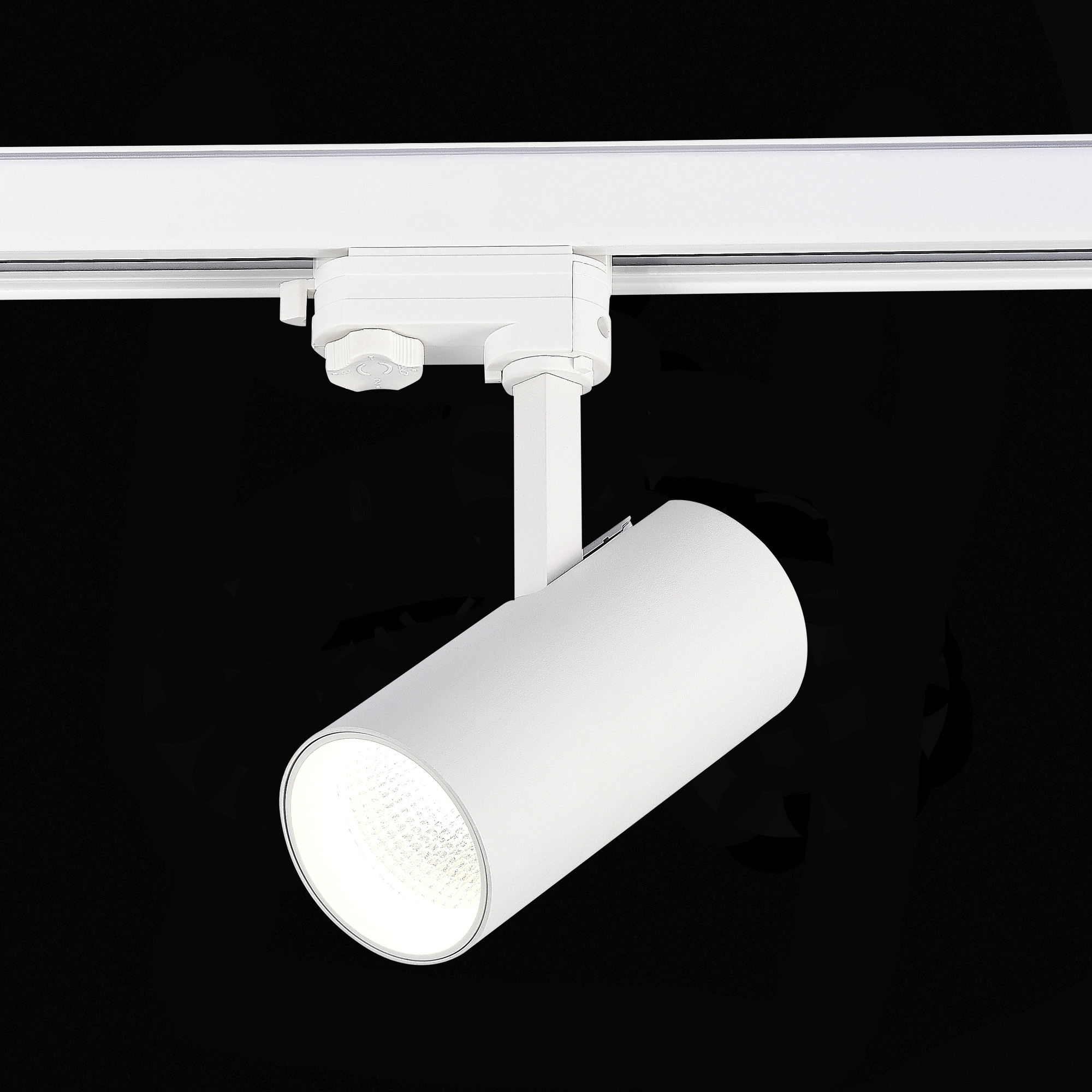 Трековый трехфазный светильник ST Luce ST661.536.20 в Санкт-Петербурге