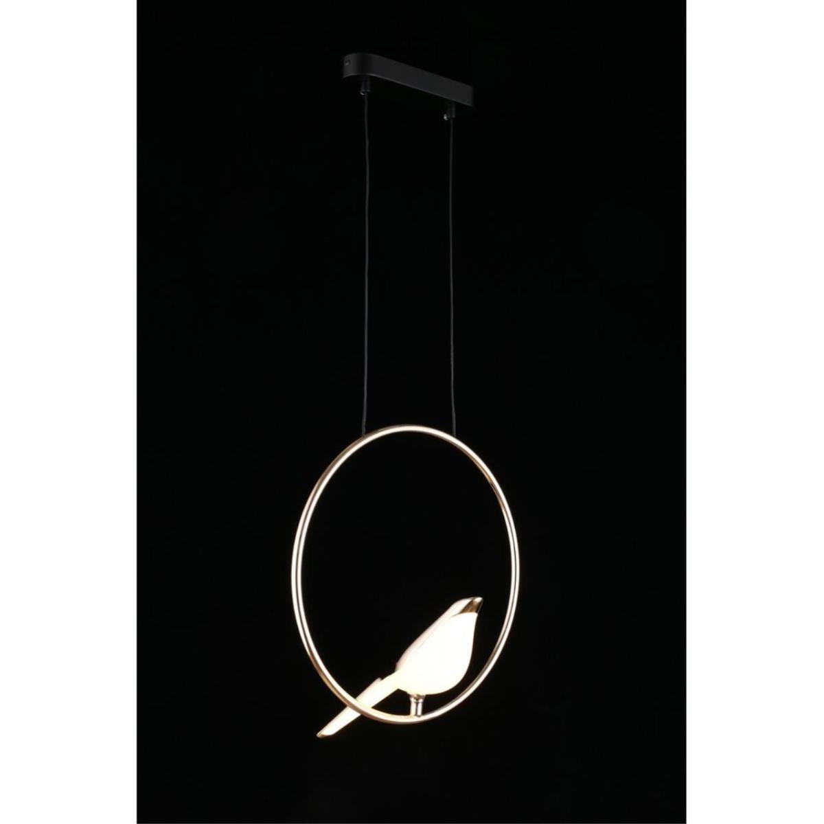 Подвесной светодиодный светильник Aployt Astor APL.822.06.10 в #REGION_NAME_DECLINE_PP#