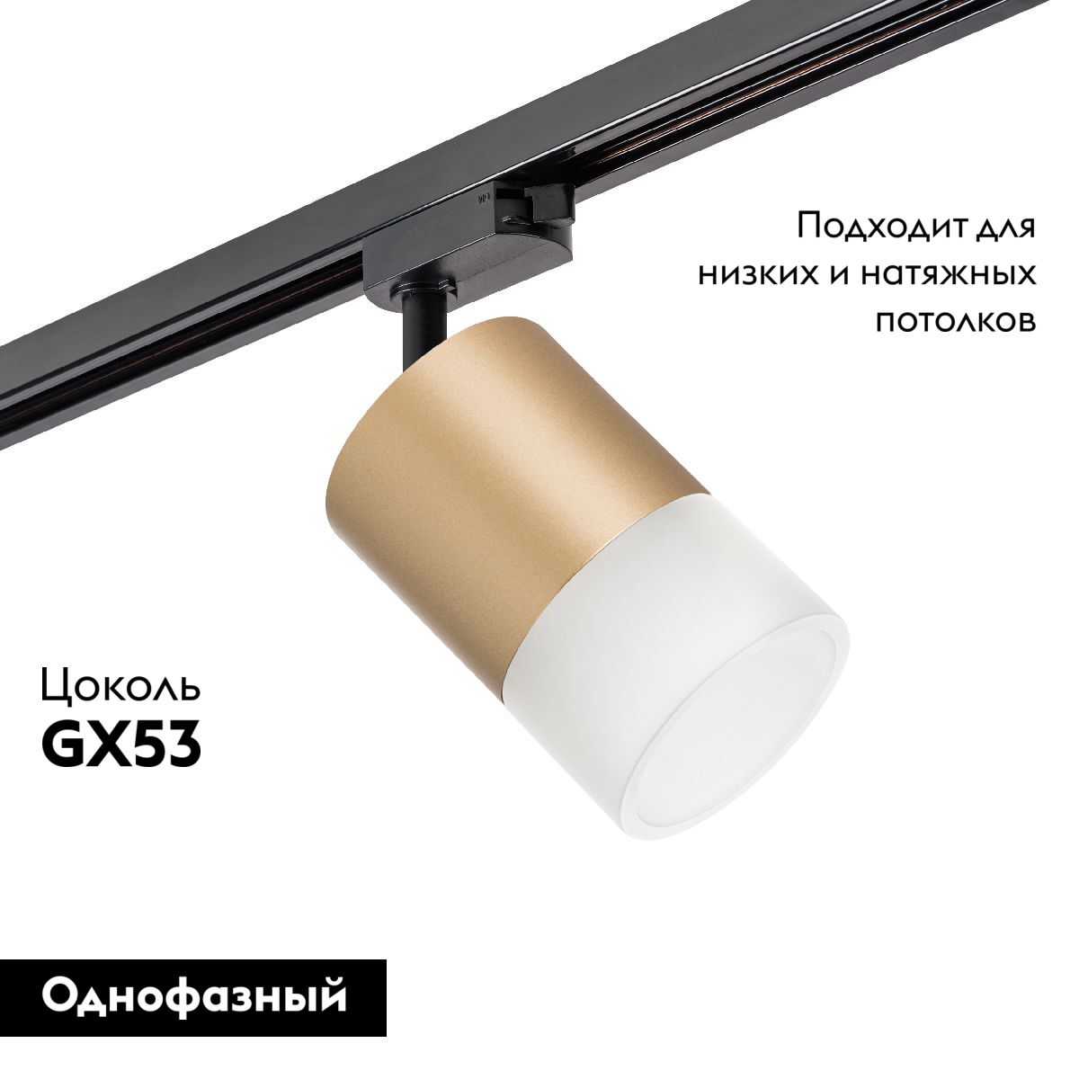 Трековый однофазный светильник Lightstar Rullo (213490+592087+202481) R1T349081 в Санкт-Петербурге