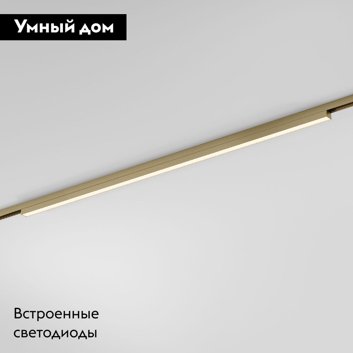 Трековый магнитный светильник Elektrostandard Line Magnetic 85527/01 4690389213649 a069635 в Санкт-Петербурге