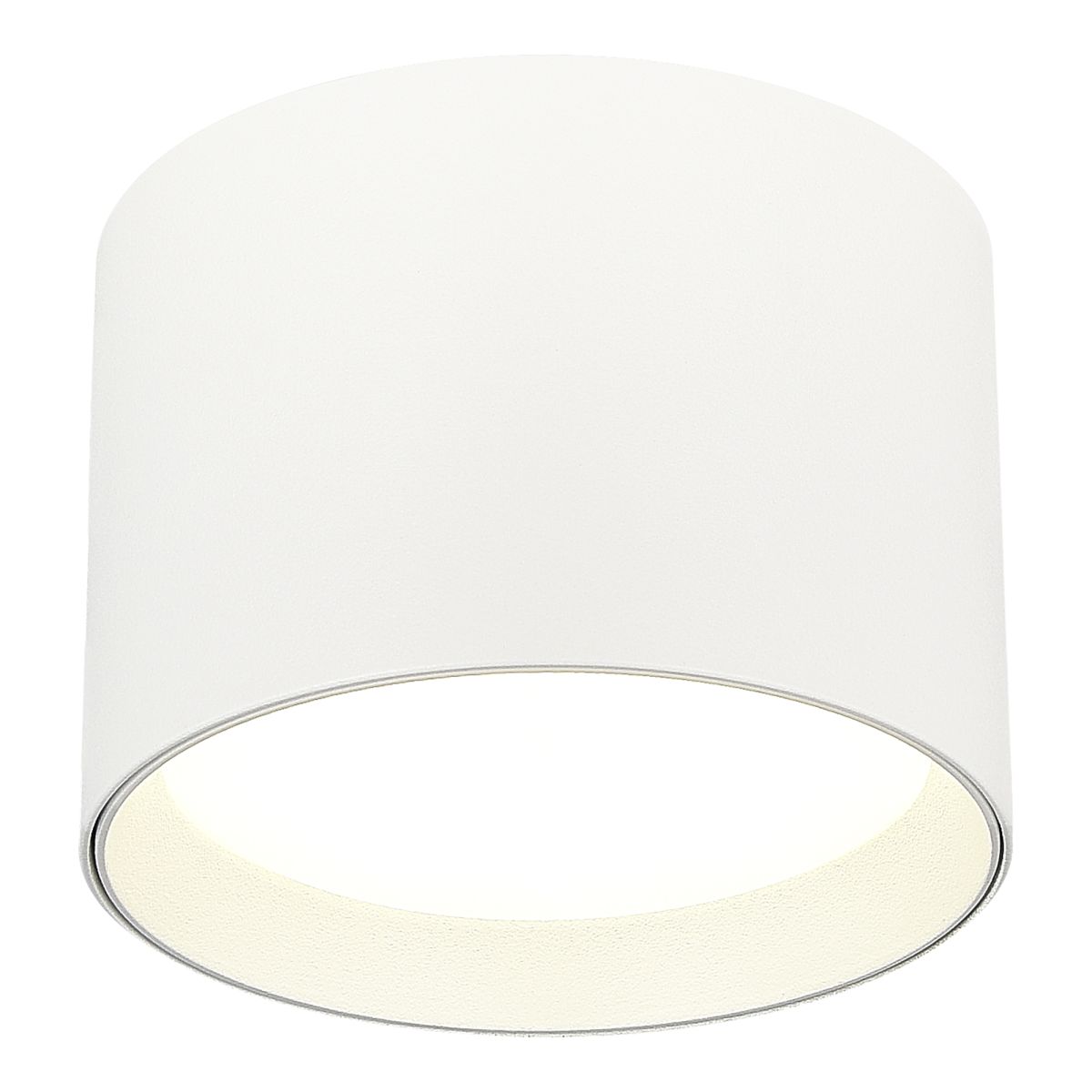 Потолочный светильник ST Luce  ST163.502.01.02 в Санкт-Петербурге