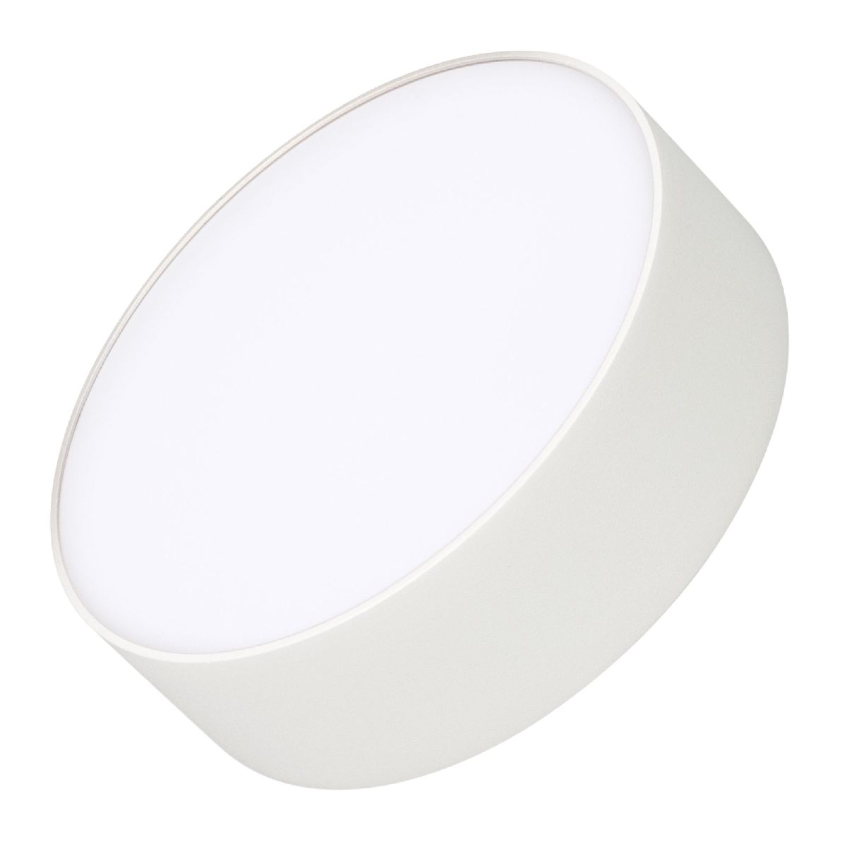 Потолочный светильник Arlight IM-RONDO-EMERGENCY-3H-R175-19W Day4000 (WH, 120 deg, 230V) 041051 в Санкт-Петербурге