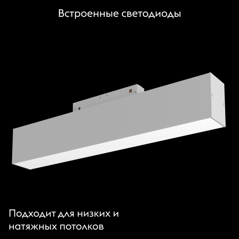 Трековый светильник Maytoni BASIS TR012-2-12W3K-W в Санкт-Петербурге
