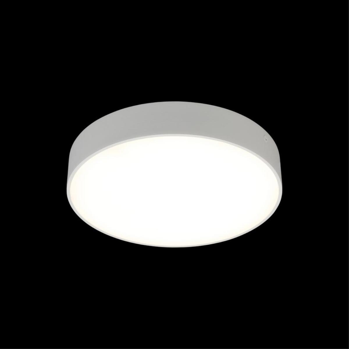 Потолочный светильник Aployt Evon APL.0114.09.24 в Санкт-Петербурге