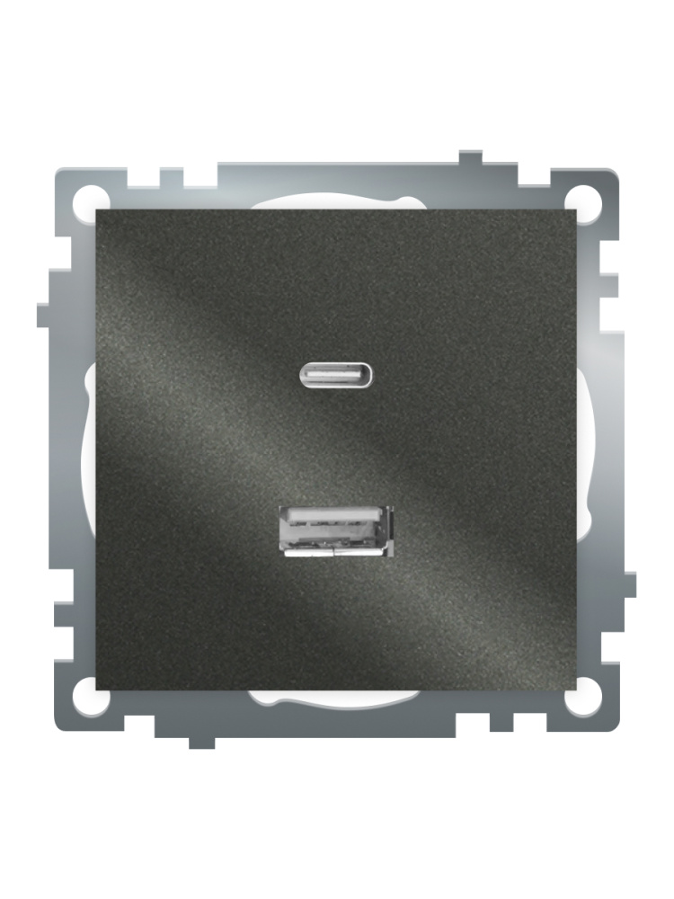 Розетка 2-местная USB + type C Stekker Катрин GLS10-7116-06 50052 в Санкт-Петербурге