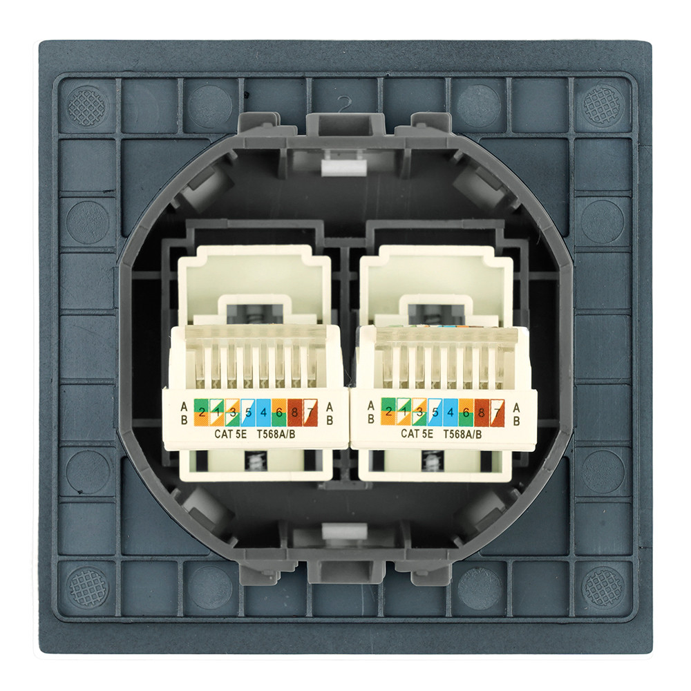 Розетка компьютерная 2-местная RJ-45 (механизм) Stekker Мия RST00-3111-05 50451 в #REGION_NAME_DECLINE_PP#