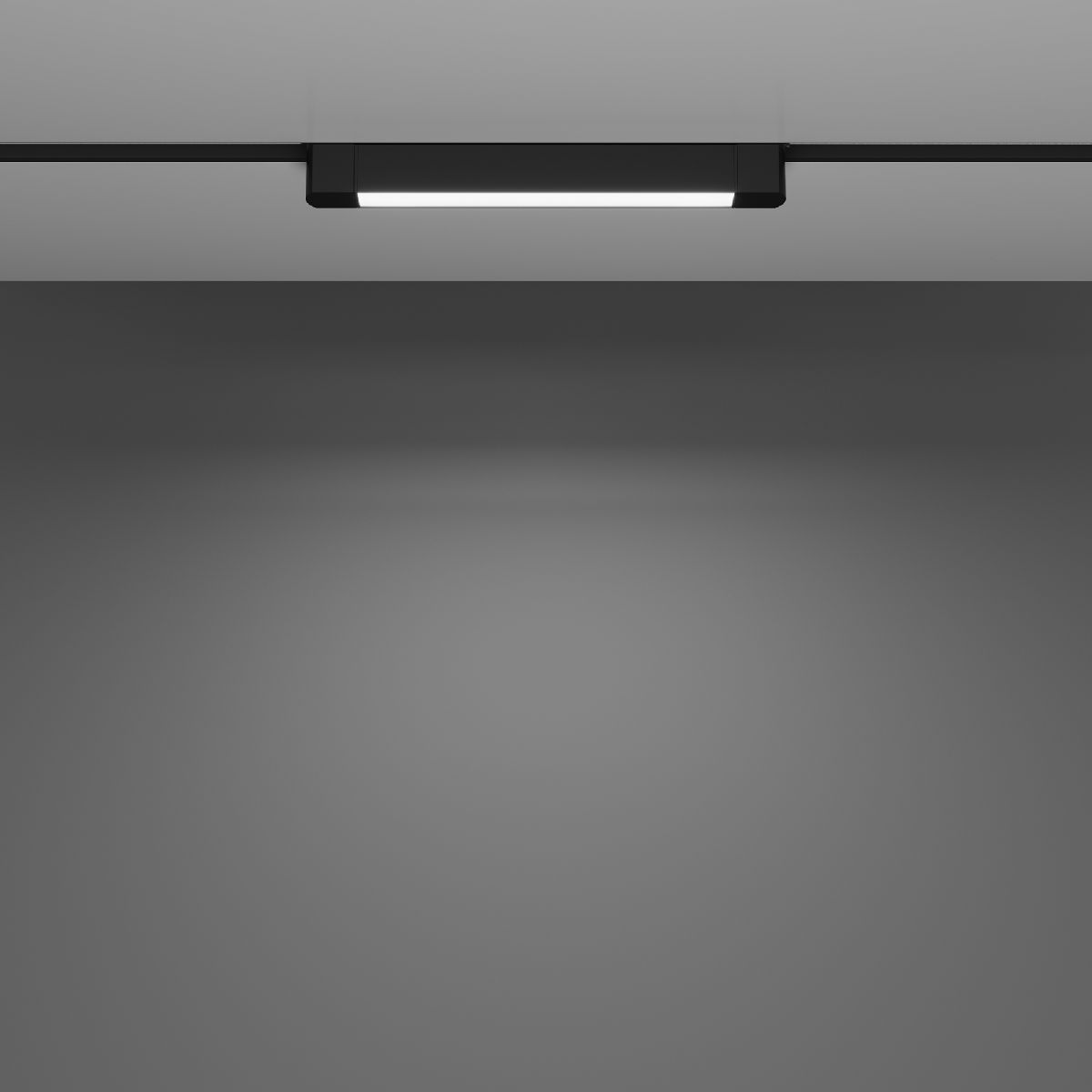 Трековый однофазный светильник потолочный Maytoni Basis Rot TR104-1-10W4K-B в Санкт-Петербурге