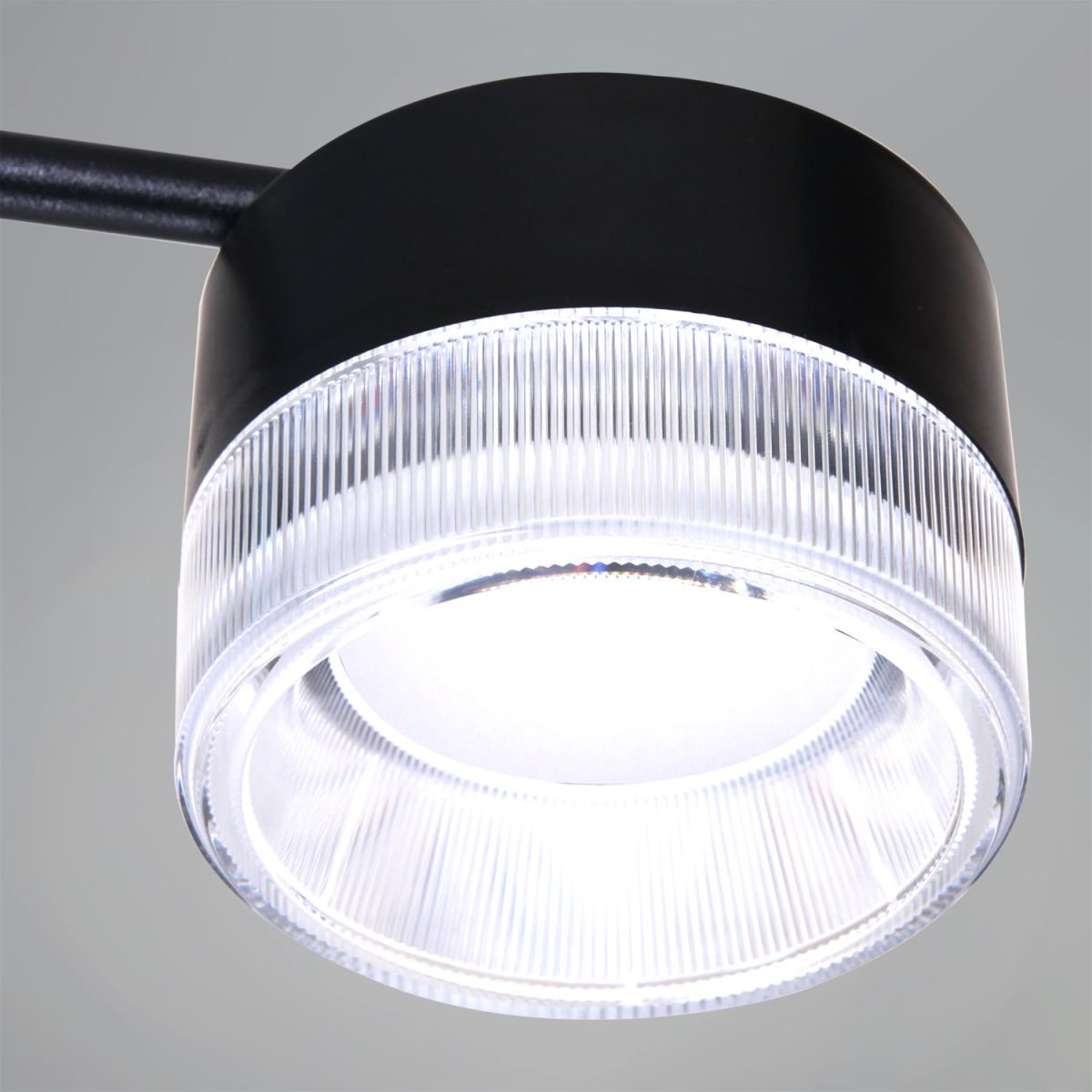 Потолочная люстра Reluce 19490-0.4-6+6 Black в Санкт-Петербурге