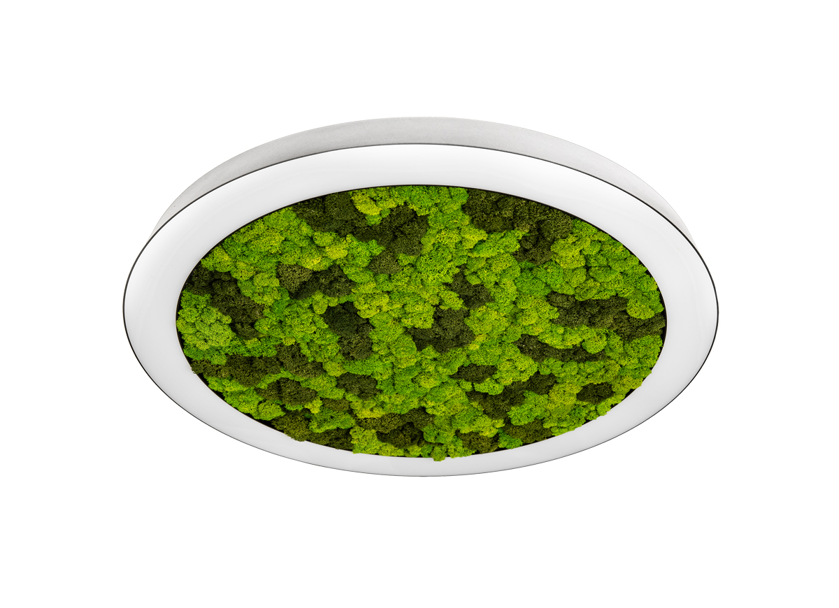 Потолочная люстра Donolux Aura Moss DL1000C90NW Moss White в Санкт-Петербурге