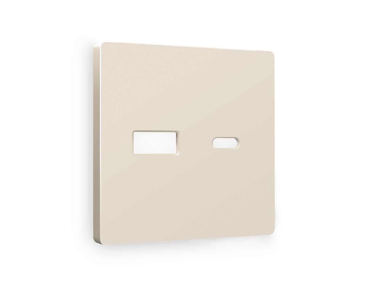 Лицевая панель для розетки 2USB A+C Ambrella Volt Alfa AP3310 в Санкт-Петербурге