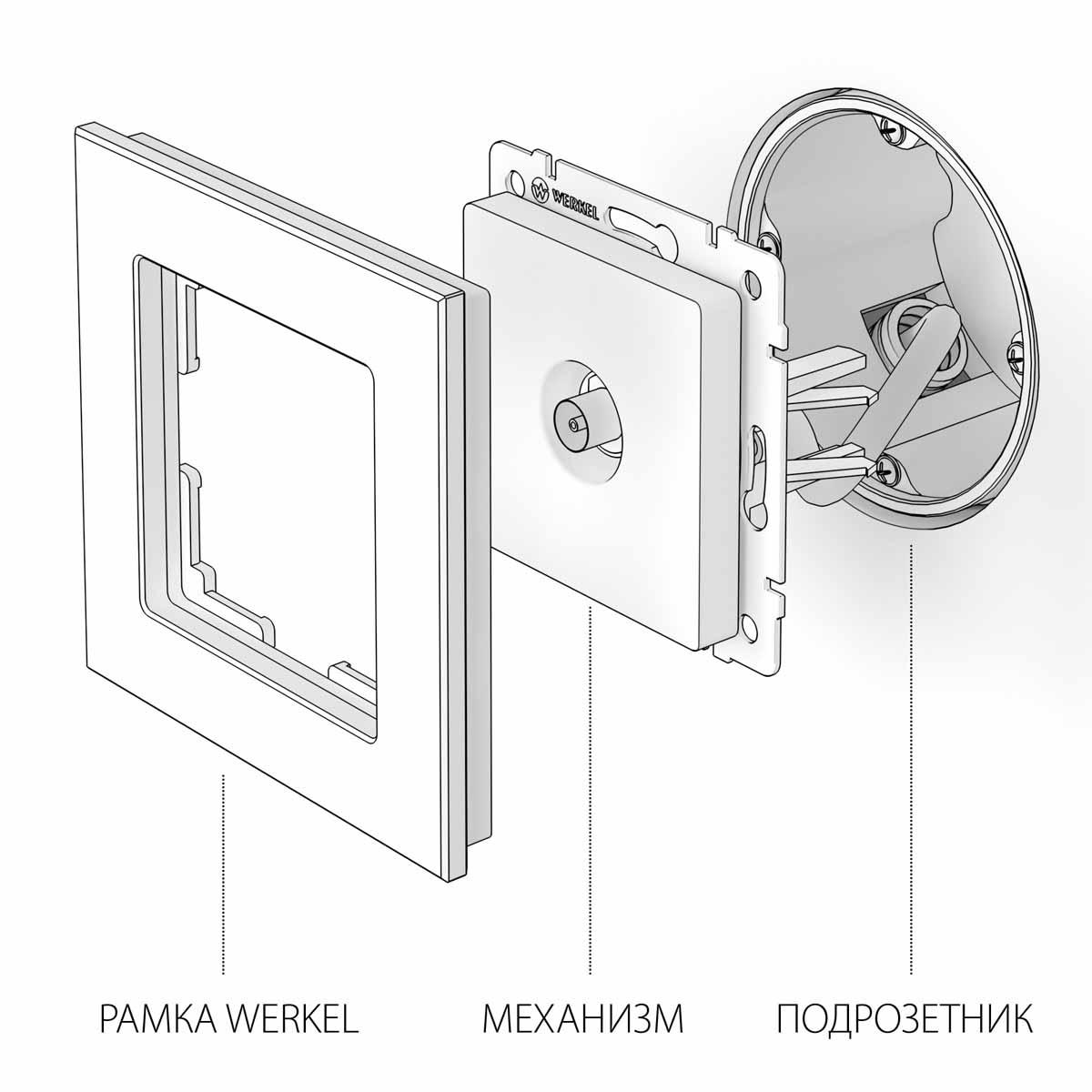 ТВ-розетка Werkel оконечная глянцевый никель W1183002 4690389158261 в Санкт-Петербурге