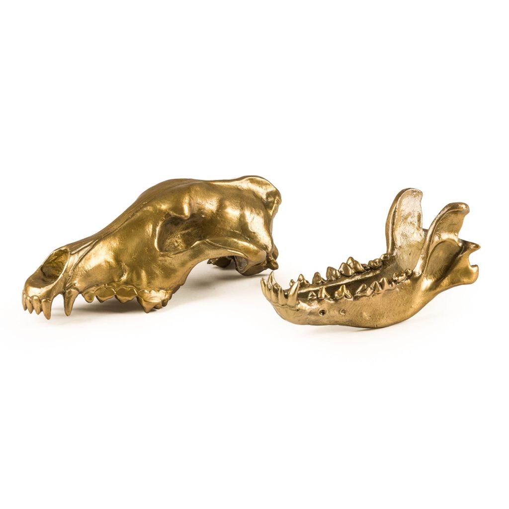 Статуэтка Wolf Skull Seletti Wunderkammer 10892 в Санкт-Петербурге