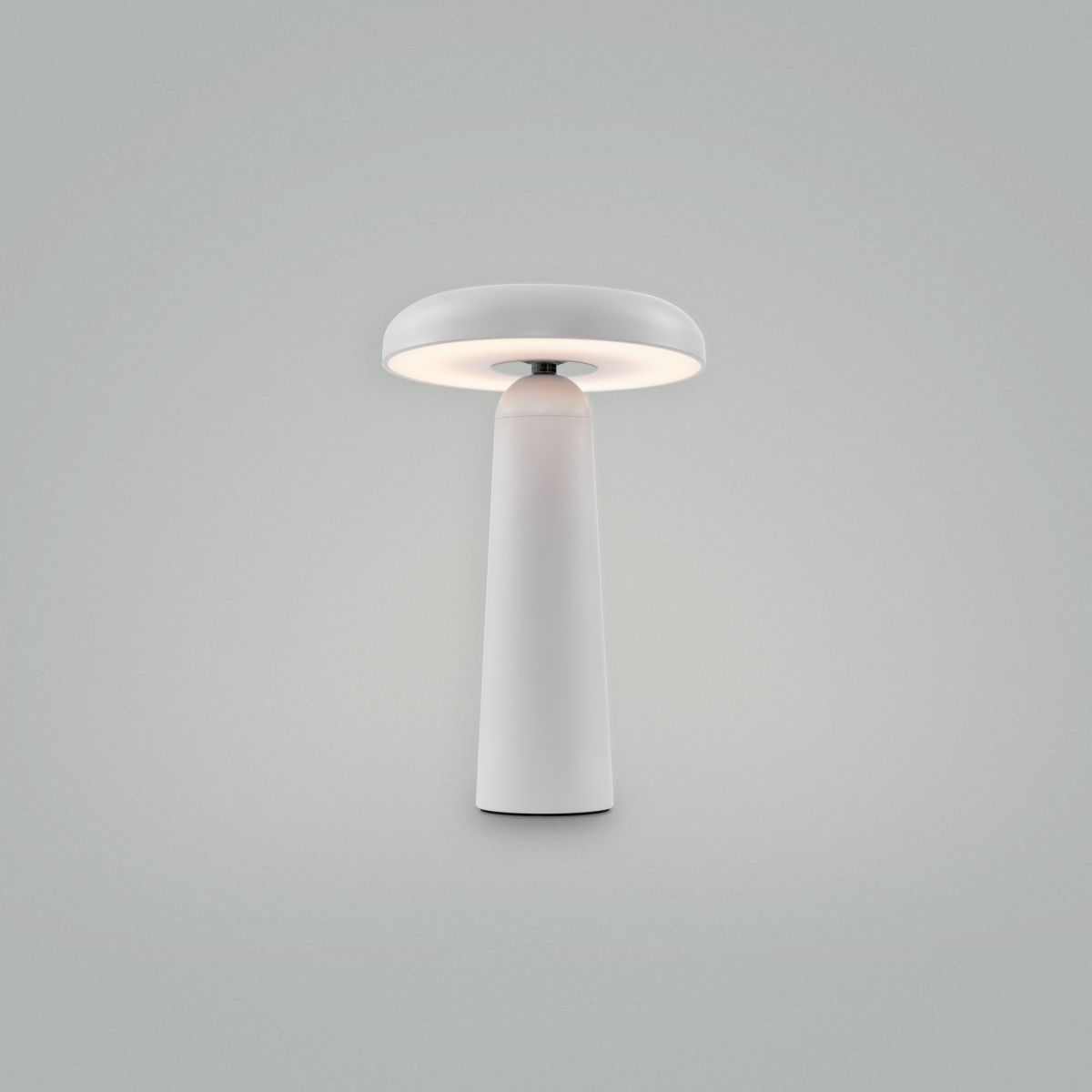 Настольная аккумуляторная лампа Freya Mushroom FR6109TL-L4W в Санкт-Петербурге