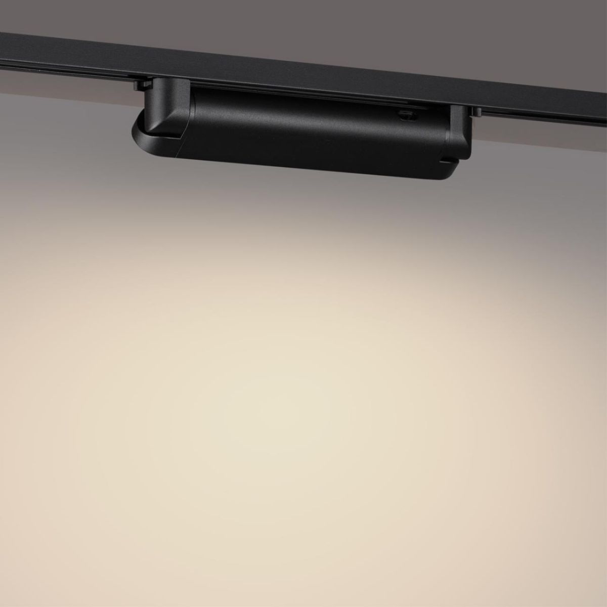 Трековый однофазный двухжильный светильник с переключателем цветовой температуры Novotech Port Iter 359792 в Санкт-Петербурге