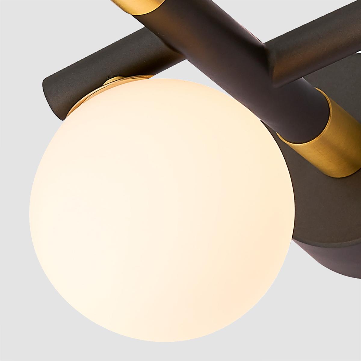 Бра Favourite Sparrow 4324-1W в Санкт-Петербурге