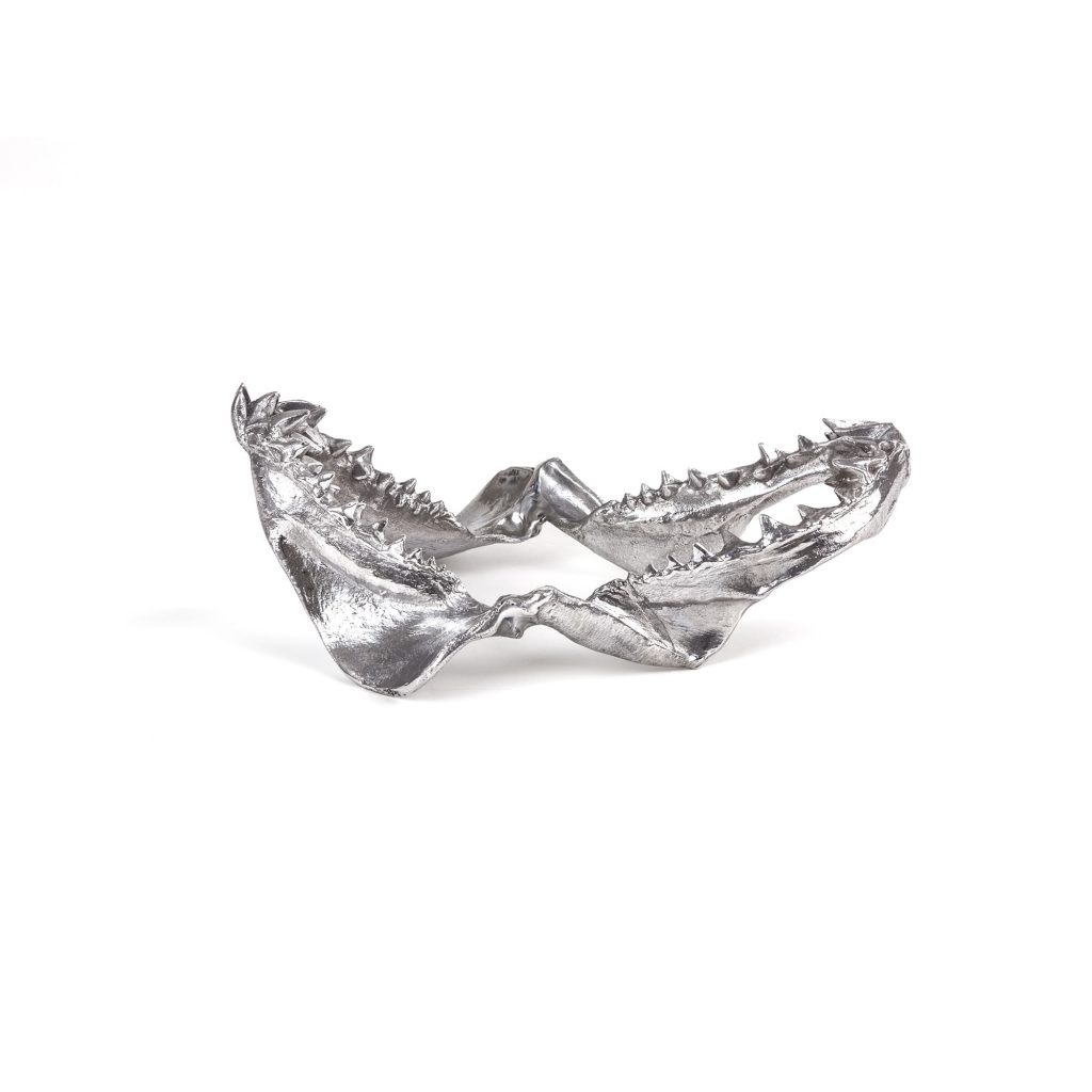 Статуэтка Shark Jaw Seletti Wunderkammer 10896 в Санкт-Петербурге