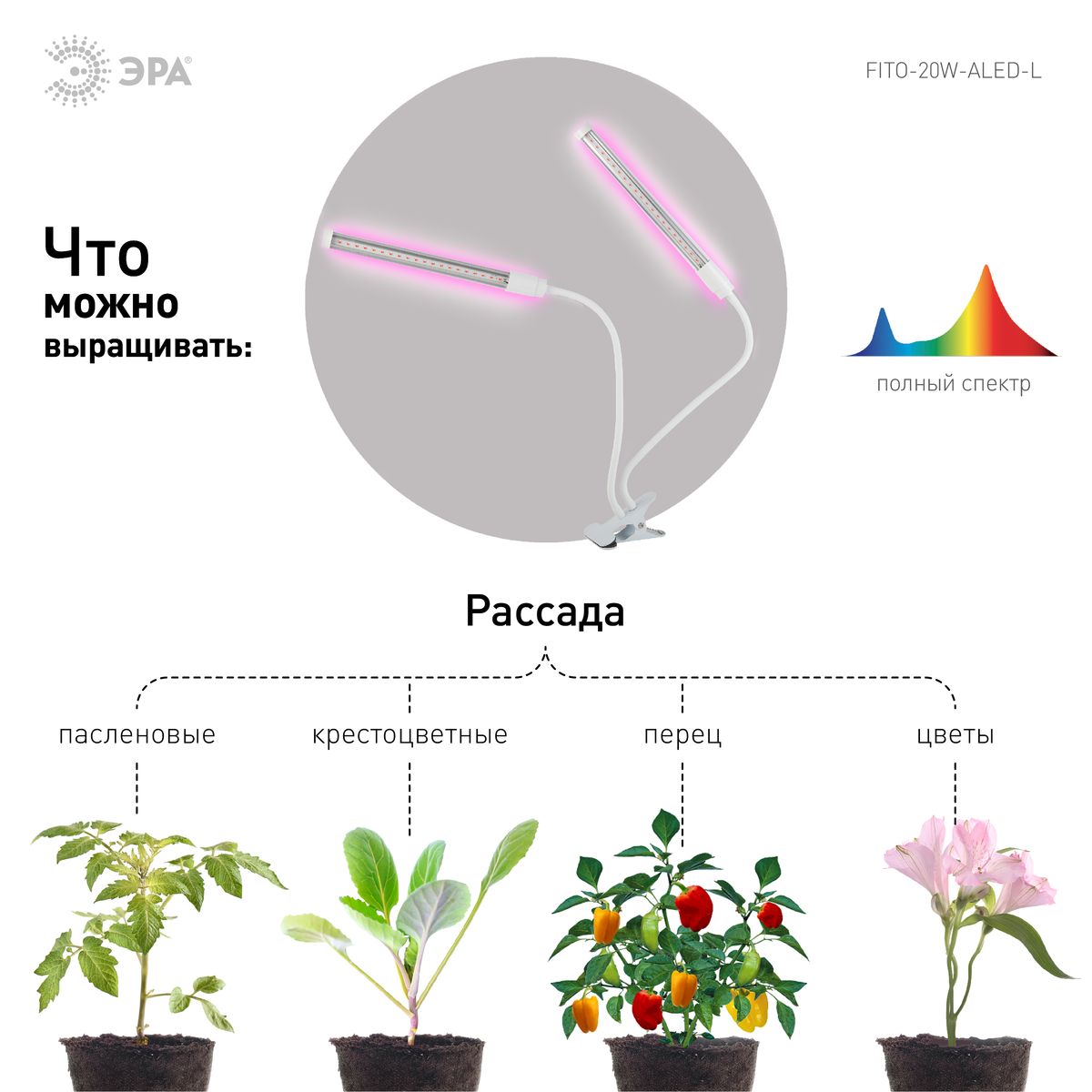 Светильник для растений на прищепке ЭРА FITO-20W-АLED-L Б0049550 в Санкт-Петербурге