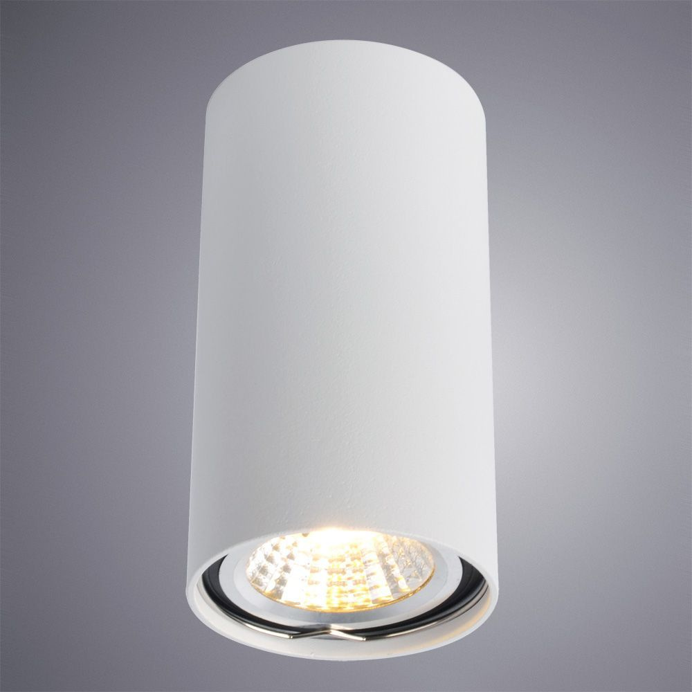 Потолочный светильник Arte Lamp A1516PL-1WH в Санкт-Петербурге