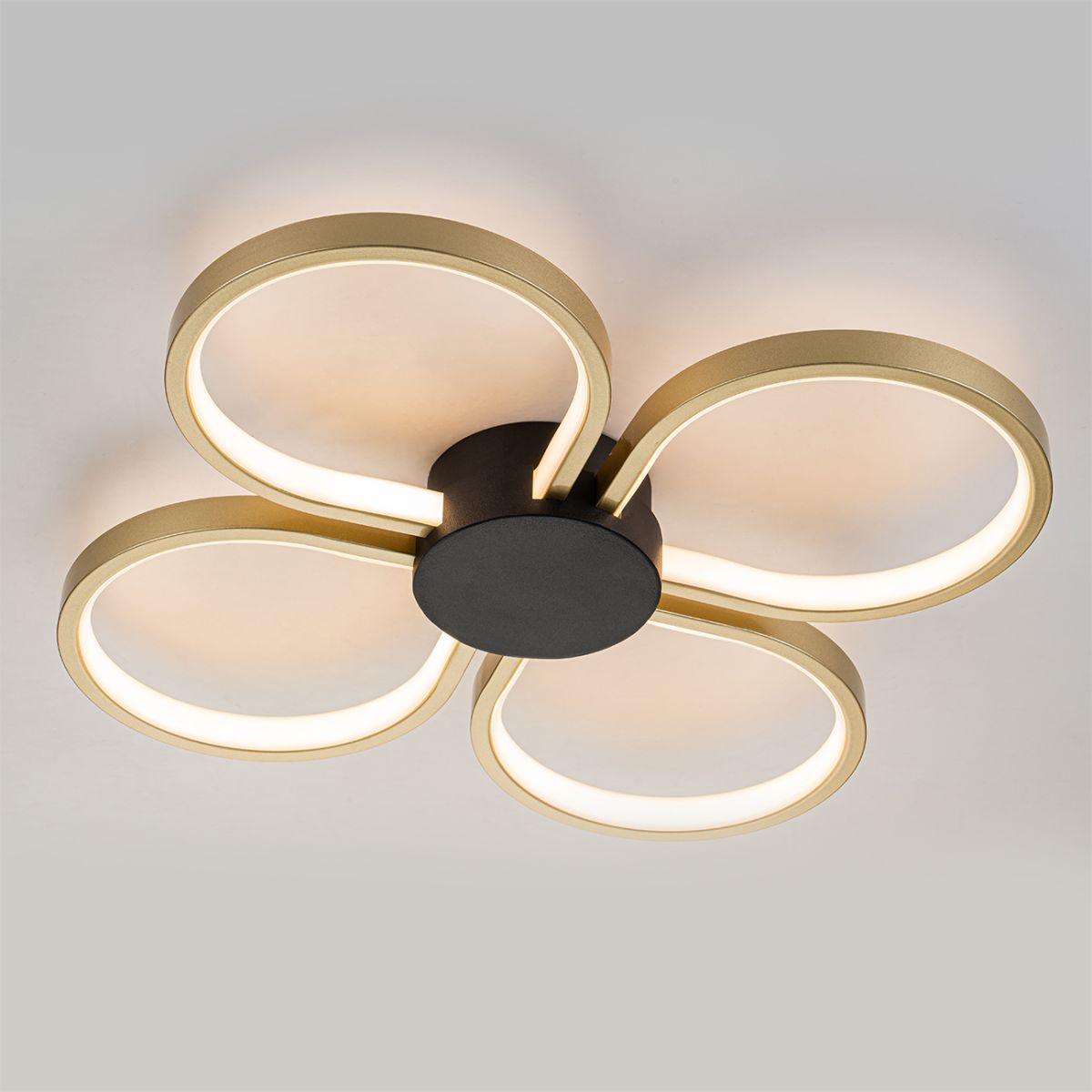 Потолочный светильник Escada Clover 10243/4LED в Санкт-Петербурге