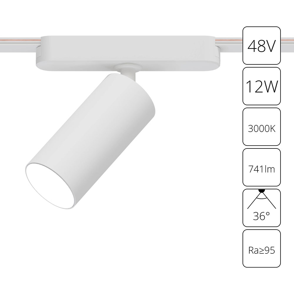 Трековый магнитный светильник Arte Lamp Rapid A1158PL-1WH в Санкт-Петербурге