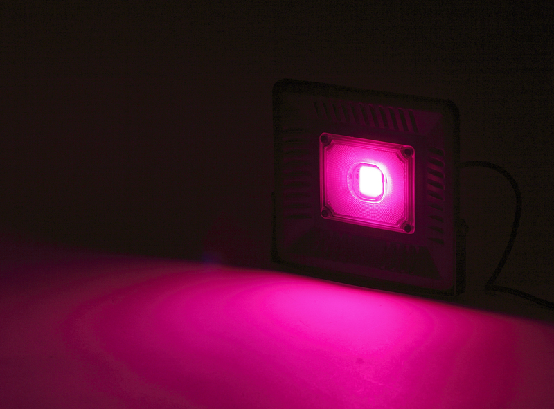 Фитопрожектор для растений Эра FITO-50W-LED-BLUERED Б0039033 в Санкт-Петербурге